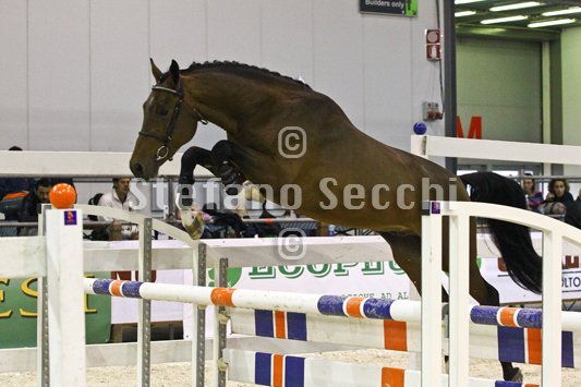 HEY DAY HOPPER_MILANO_2010_SS3_1462.jpg